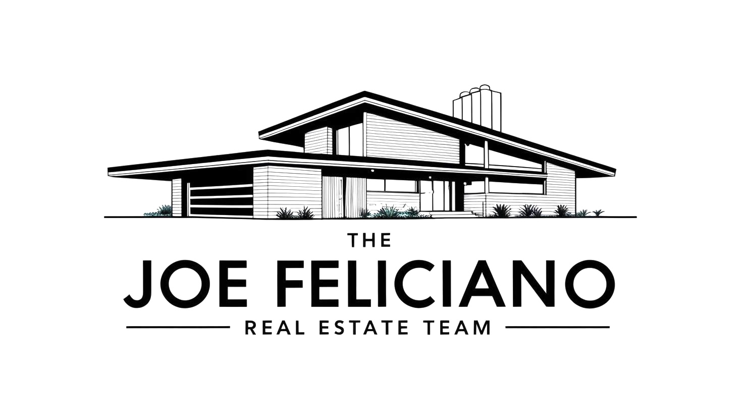 The Joe Feliciano Team